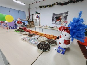 “多國(guó)風(fēng)采、別具風(fēng)格”的的圣誕節(jié)活動(dòng)